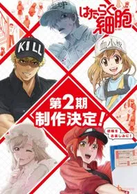 Hataraku Saibou!! Vietsub - AnimeHay
